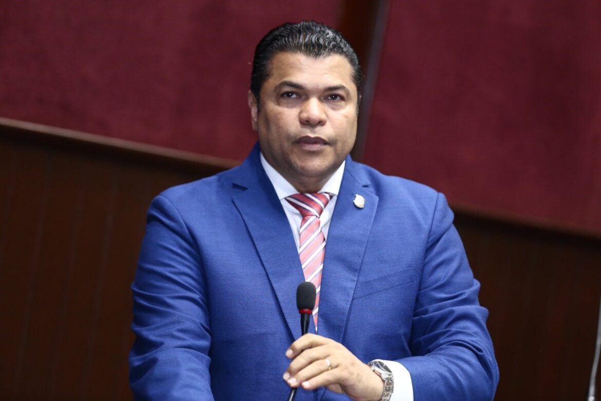El vocero de la Fuerza del Pueblo en la Cámara de Diputados, Tobías Crespo, ha rechazado la reforma constitucional.